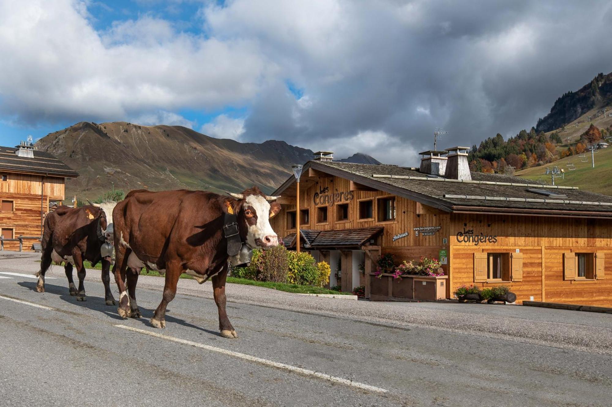 Les Congeres Βίλα Le Grand-Bornand Δωμάτιο φωτογραφία